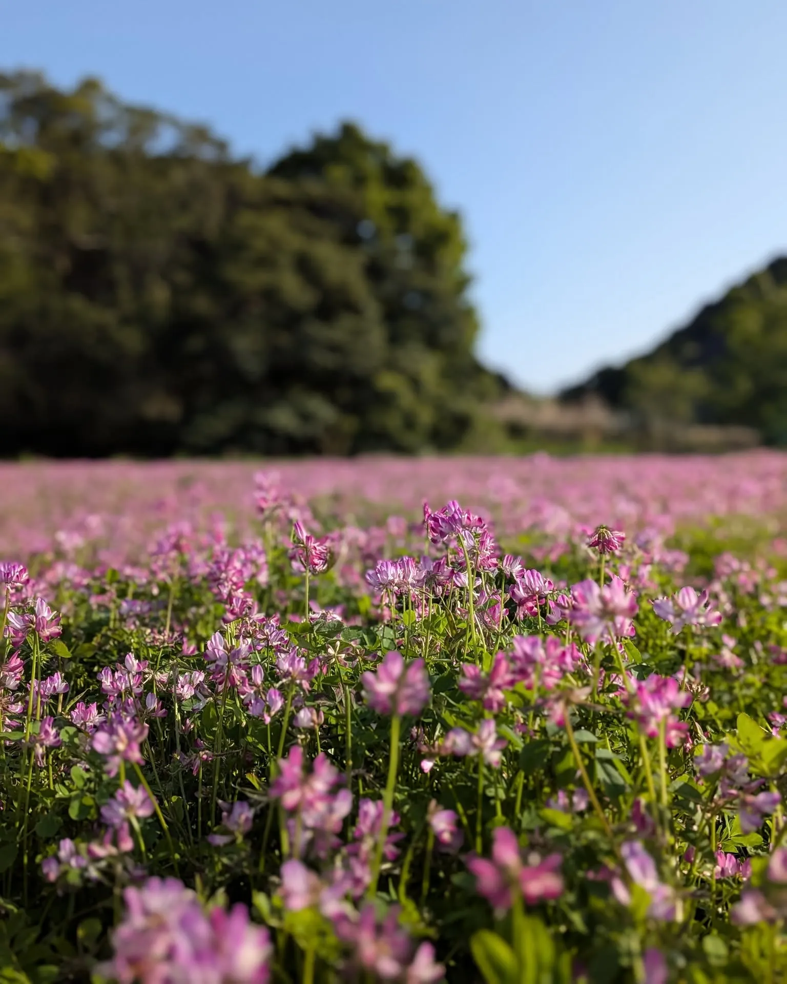 【休日のひとコマ】
